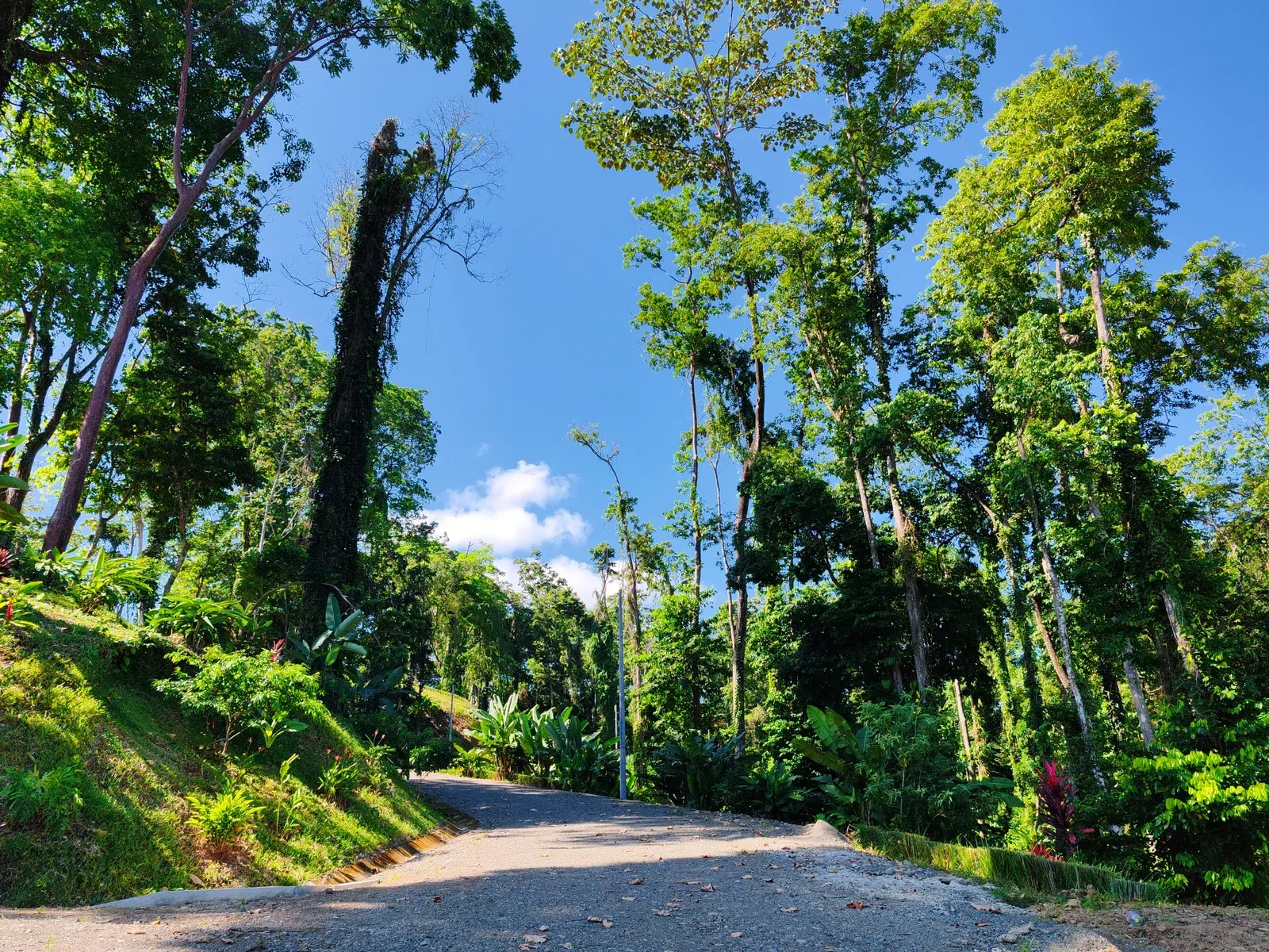 puerto-viejo-ocean-view-land-5000m2 (1).webp