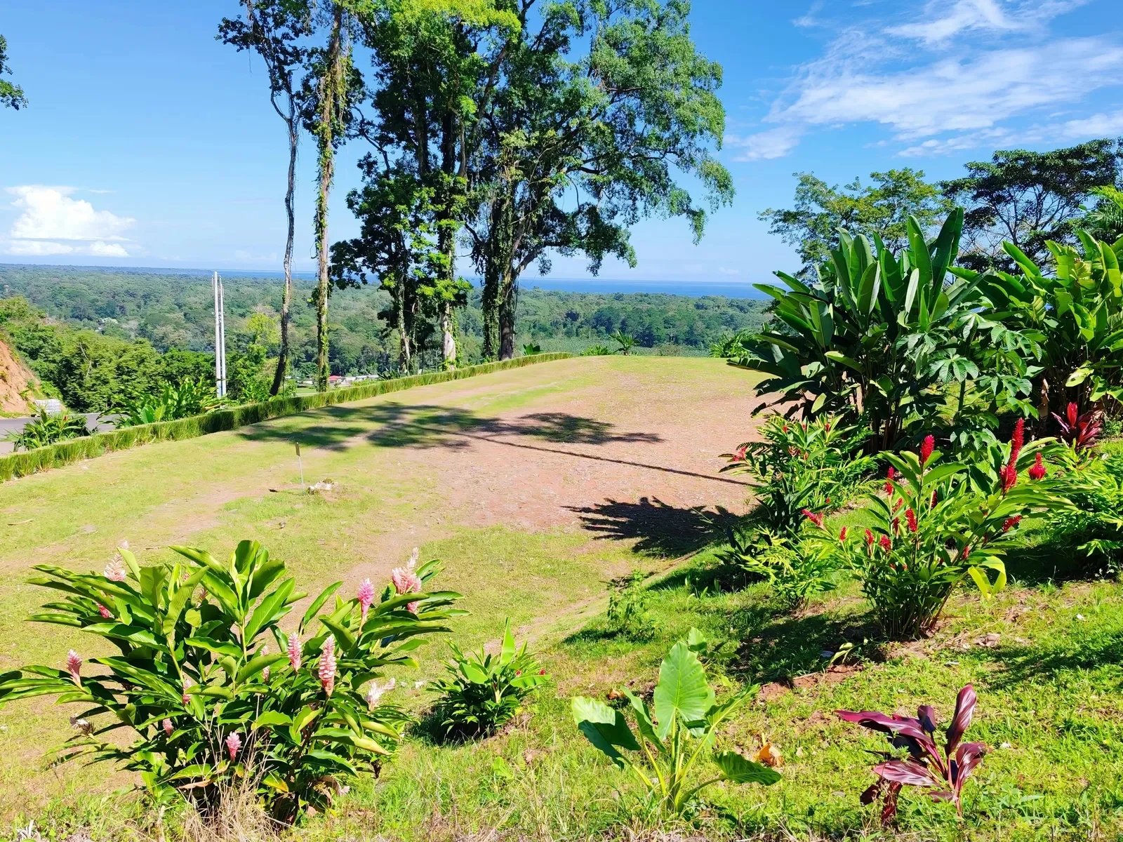 puerto-viejo-ocean-view-land-5000m2 (3).webp