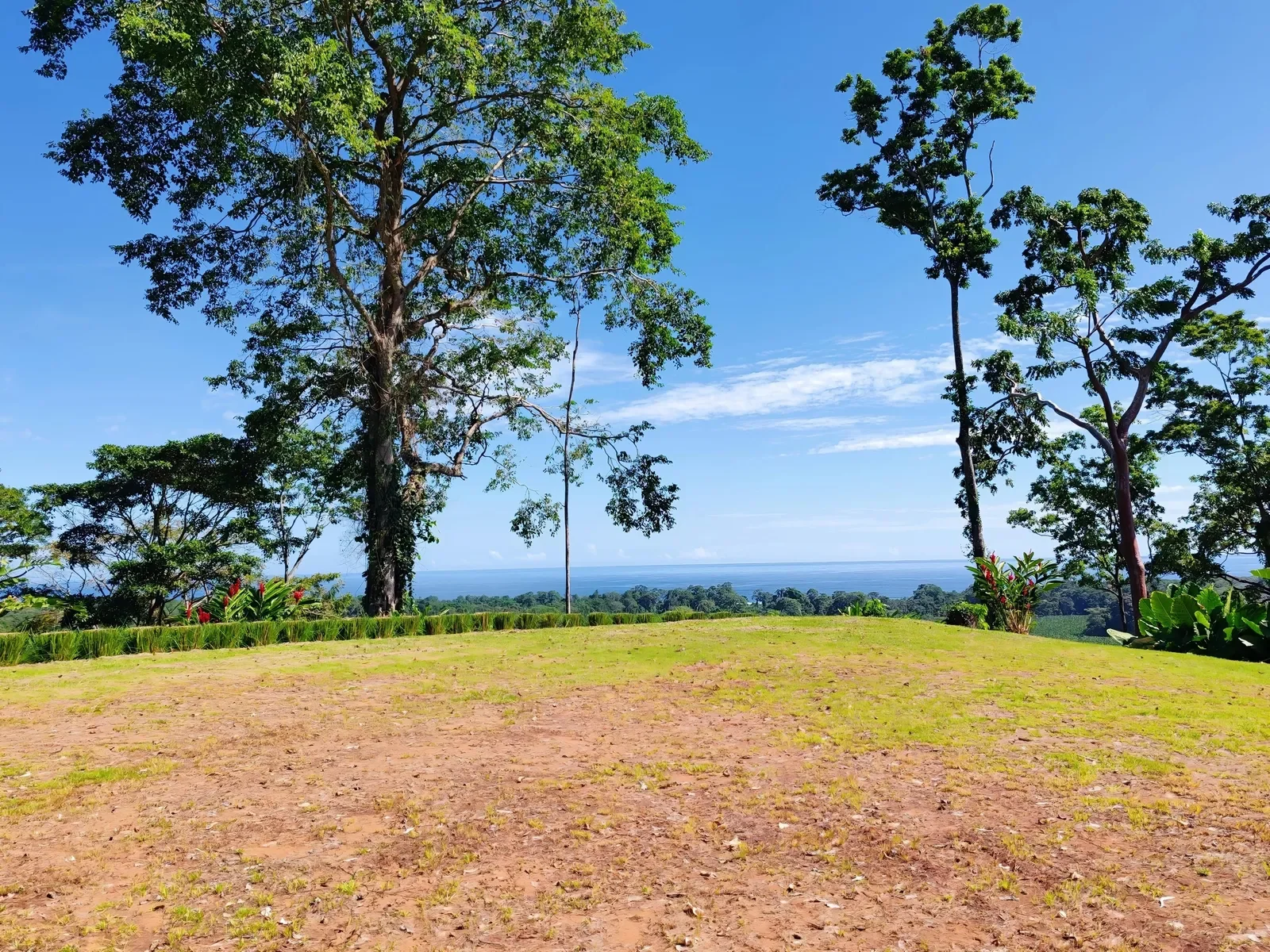 puerto-viejo-ocean-view-land-5000m2 (9).webp