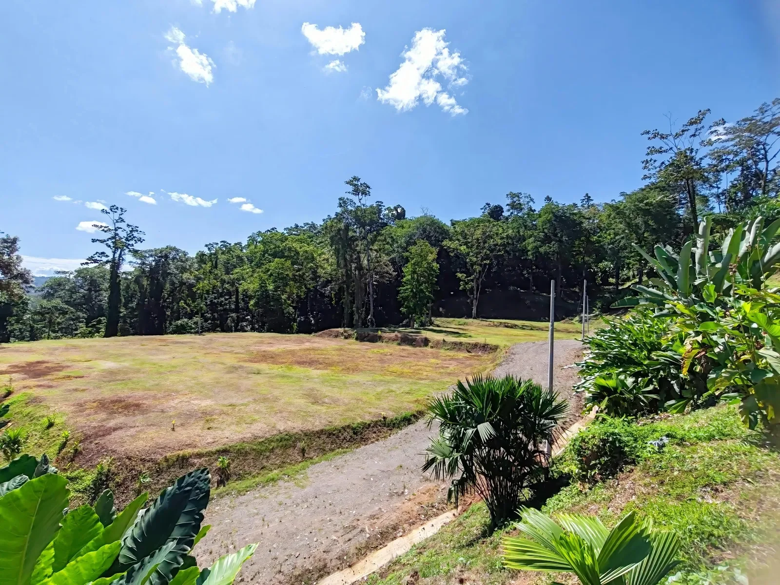 puerto-viejo-ocean-view-land-5000m2 (12).webp