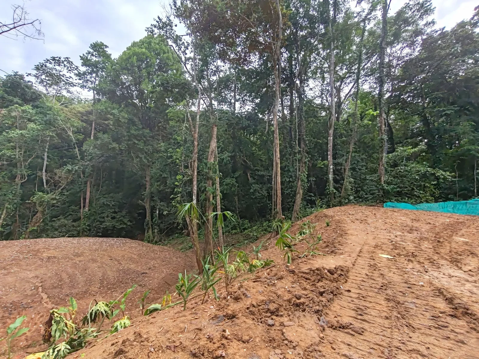 cahuita-buildable-land-walk-beach-7535m2 (4).webp