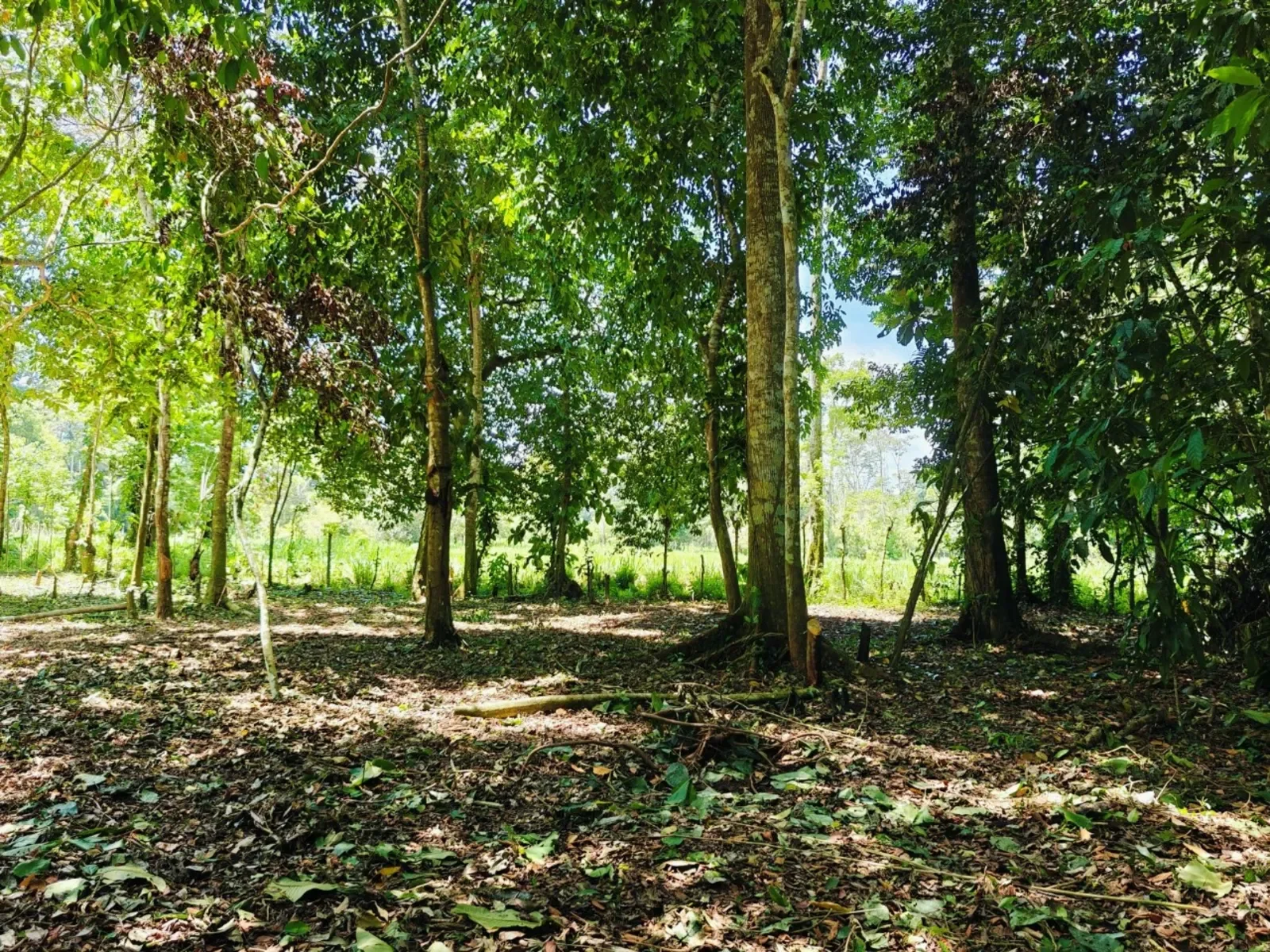 creekside-lot-playa-grande-cahuita (1).webp