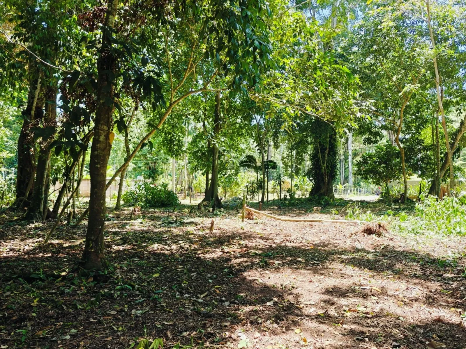 creekside-lot-playa-grande-cahuita (2).webp