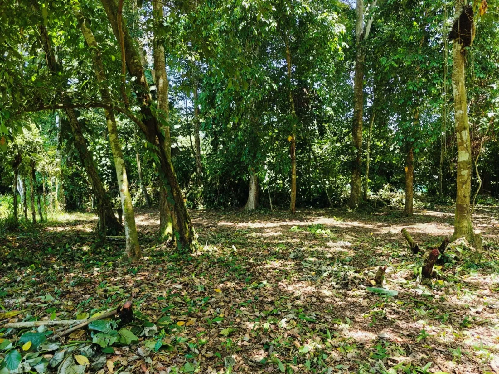 $134,220 - 2,237m² Creekside Titled Lot Near Playa Grande, Cahuita