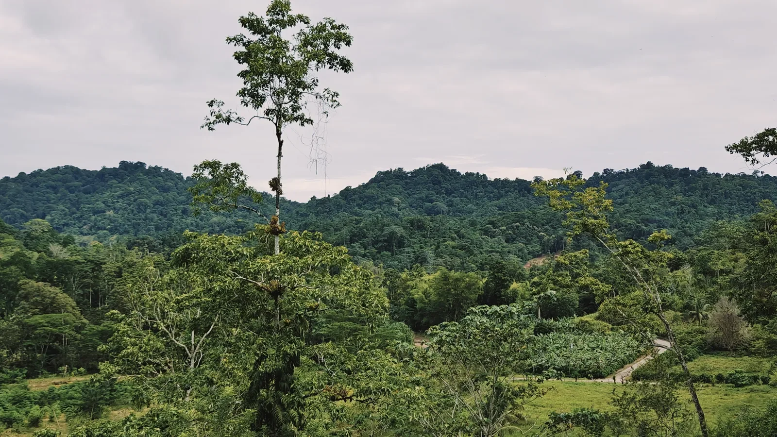 river-view-properties-carbon-1 (1).webp