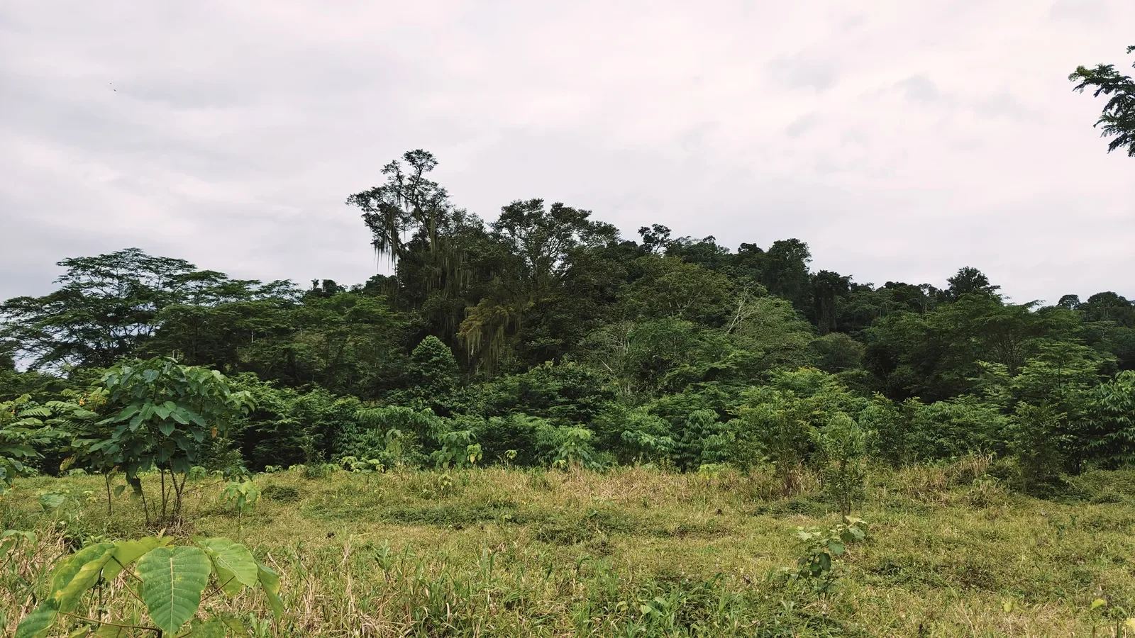 river-view-properties-carbon-1 (2).webp