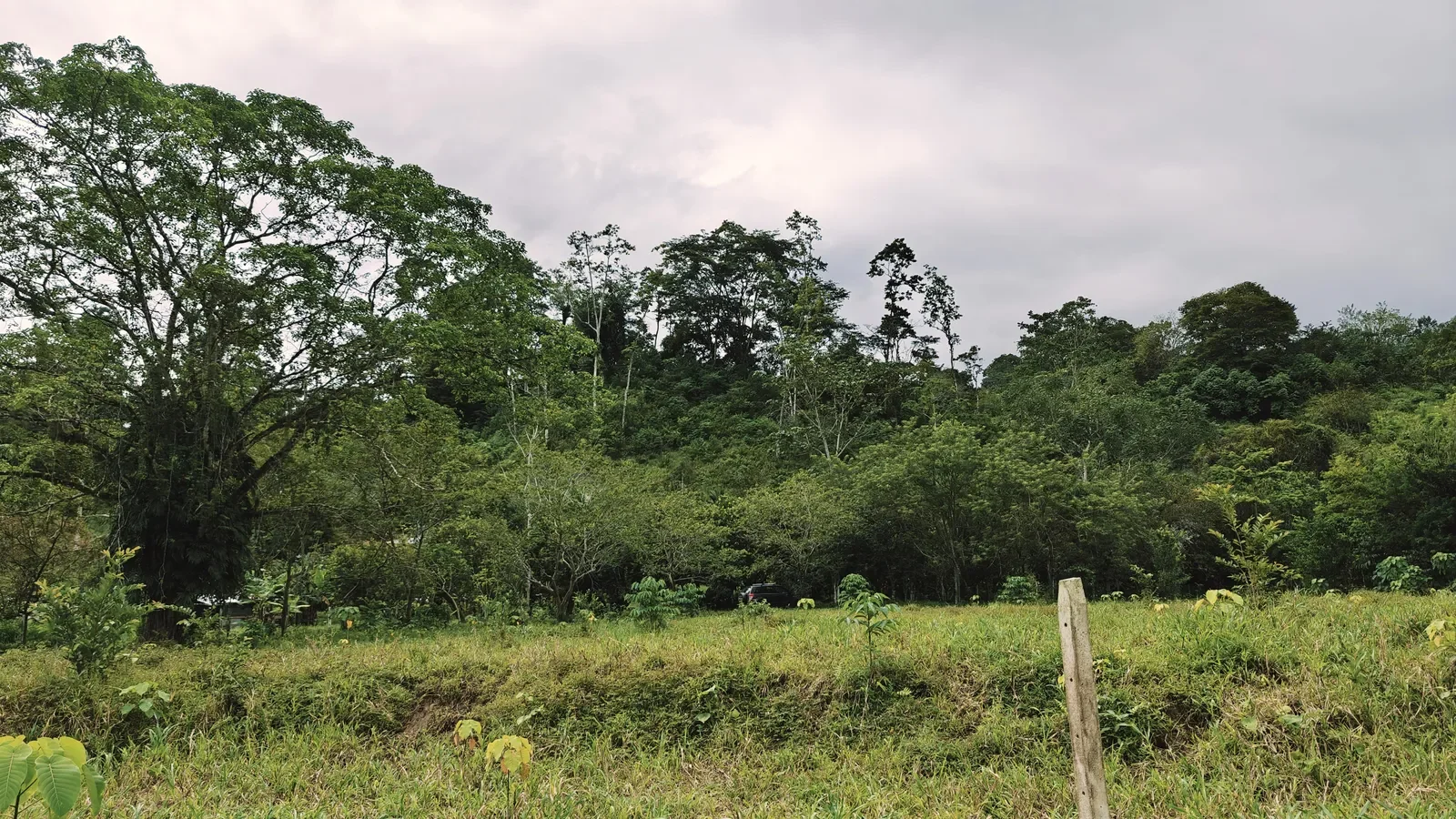 river-view-properties-carbon-1 (3).webp