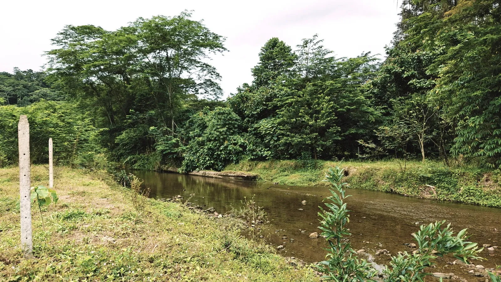 river-view-properties-carbon-1 (5).webp