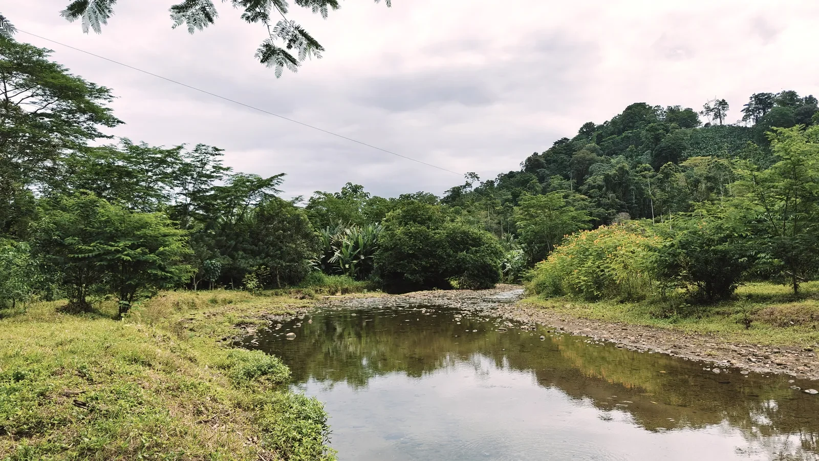 river-view-properties-carbon-1 (6).webp