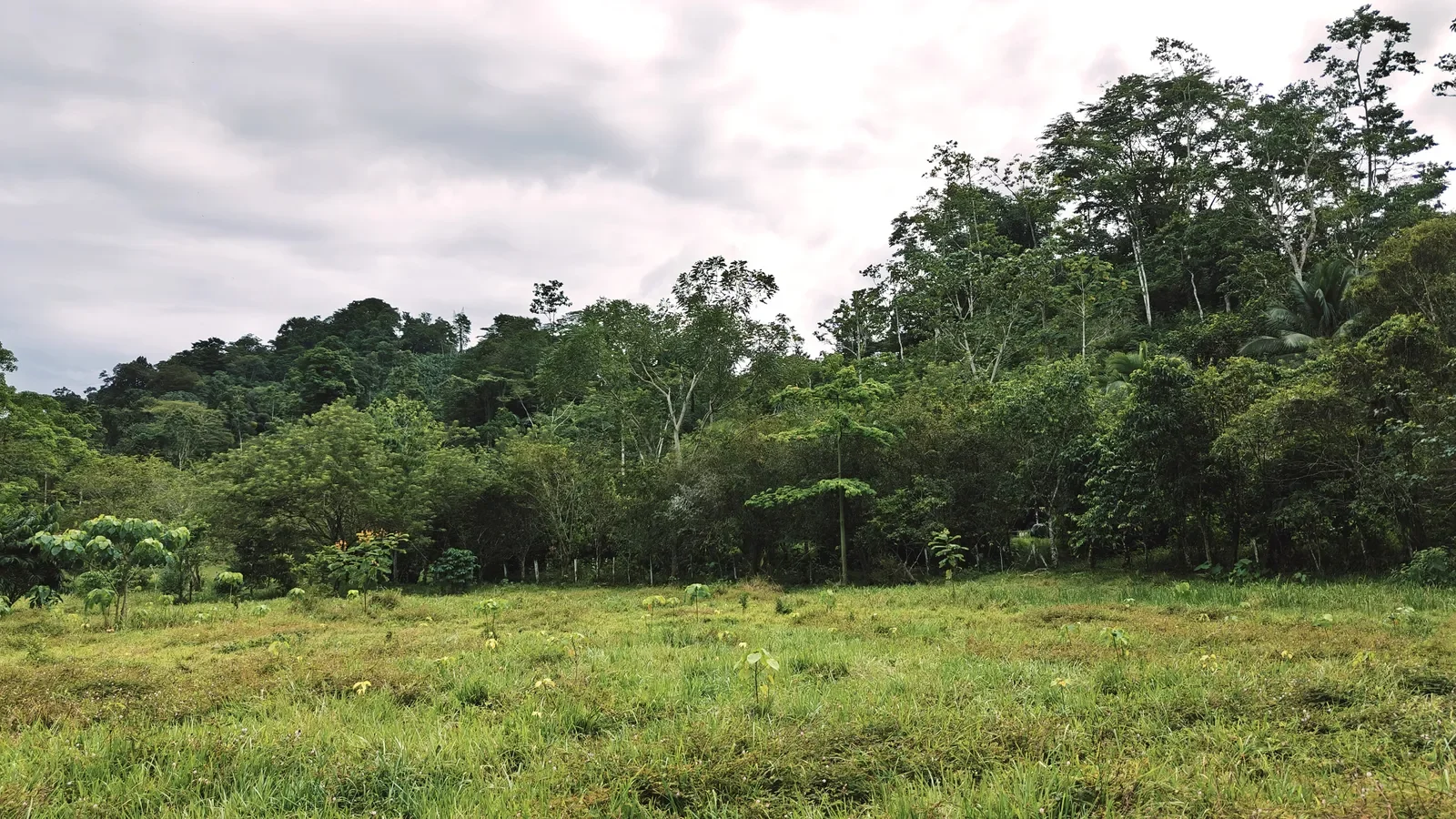 river-view-properties-carbon-1 (7).webp