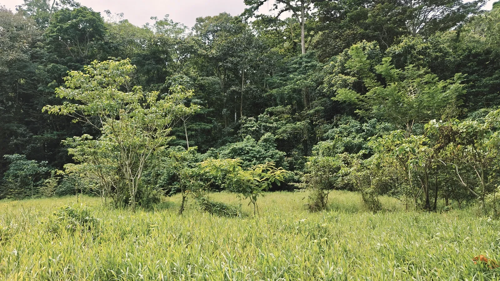 river-view-properties-carbon-1 (8).webp