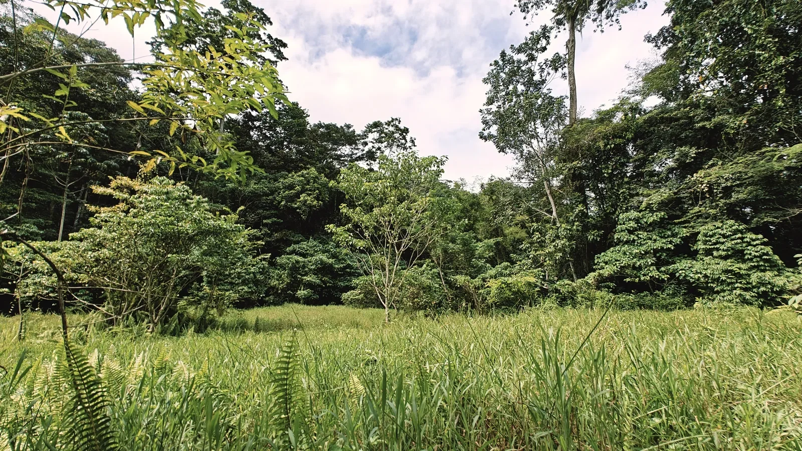 river-view-properties-carbon-1 (9).webp