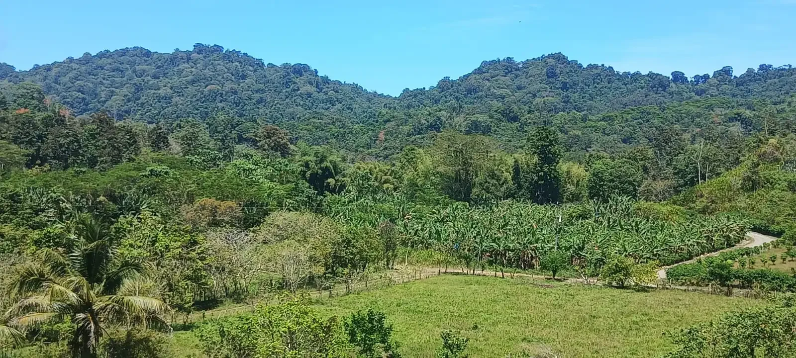River View Properties for Sale in Carbon 1, Costa Rica