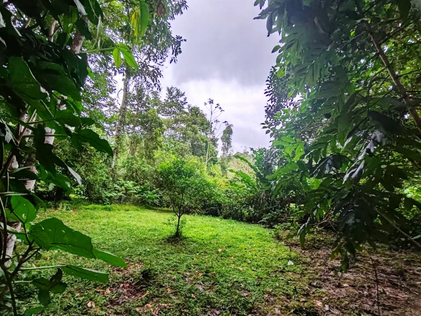 titled-building-lot-punta-uva (2).webp