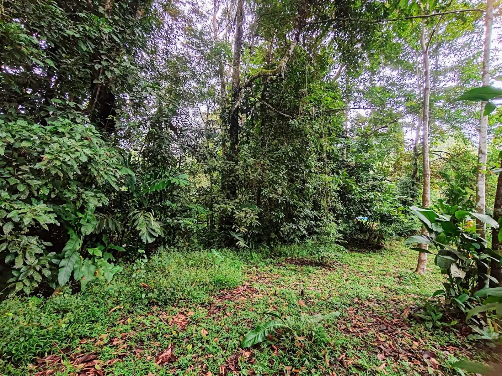 titled-building-lot-punta-uva (1).webp