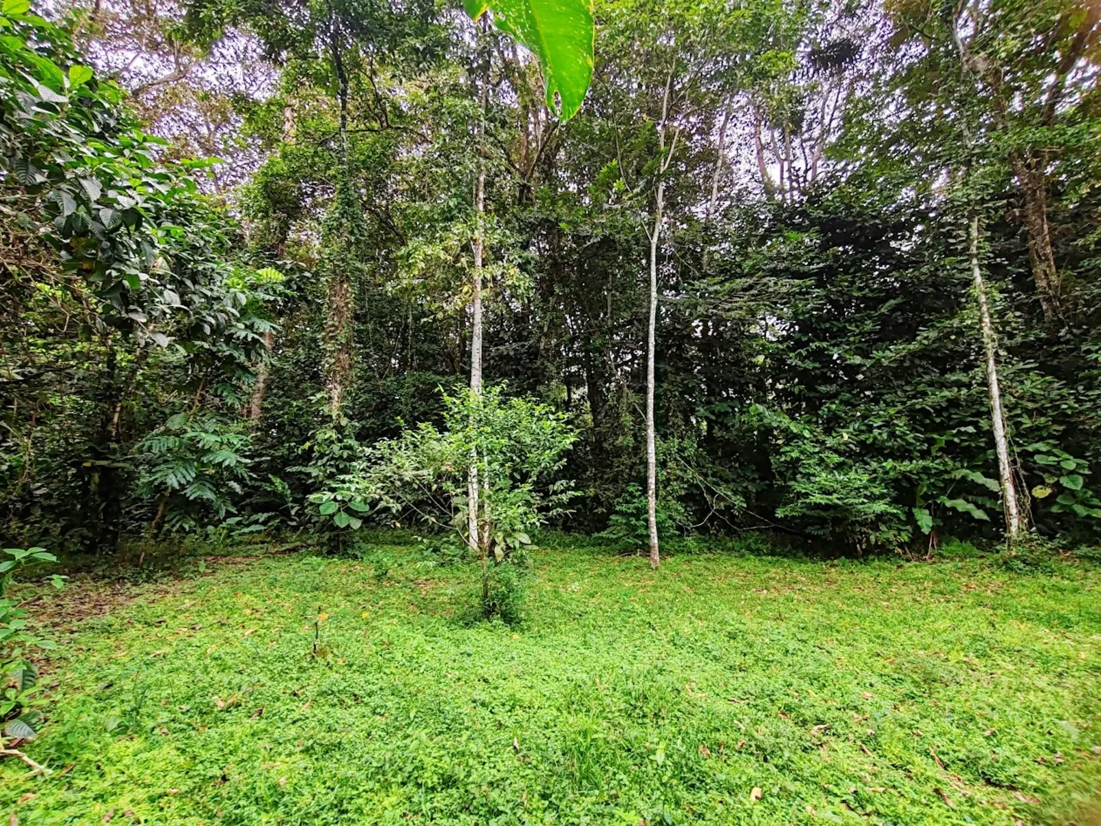 titled-building-lot-punta-uva (3).webp