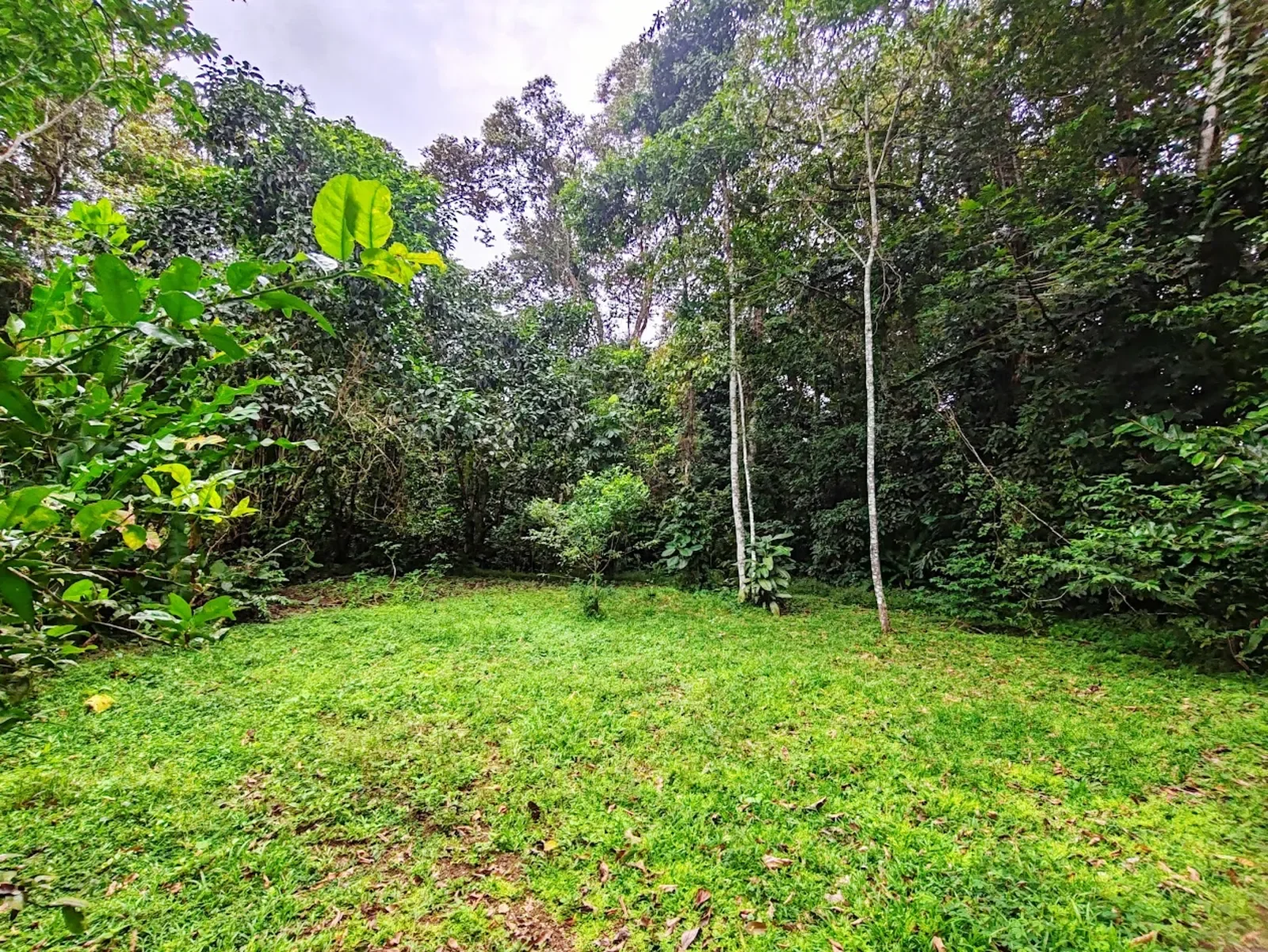 $125,000 - Titled Building Lot near Punta Uva Beach: 5,875m² with Creek