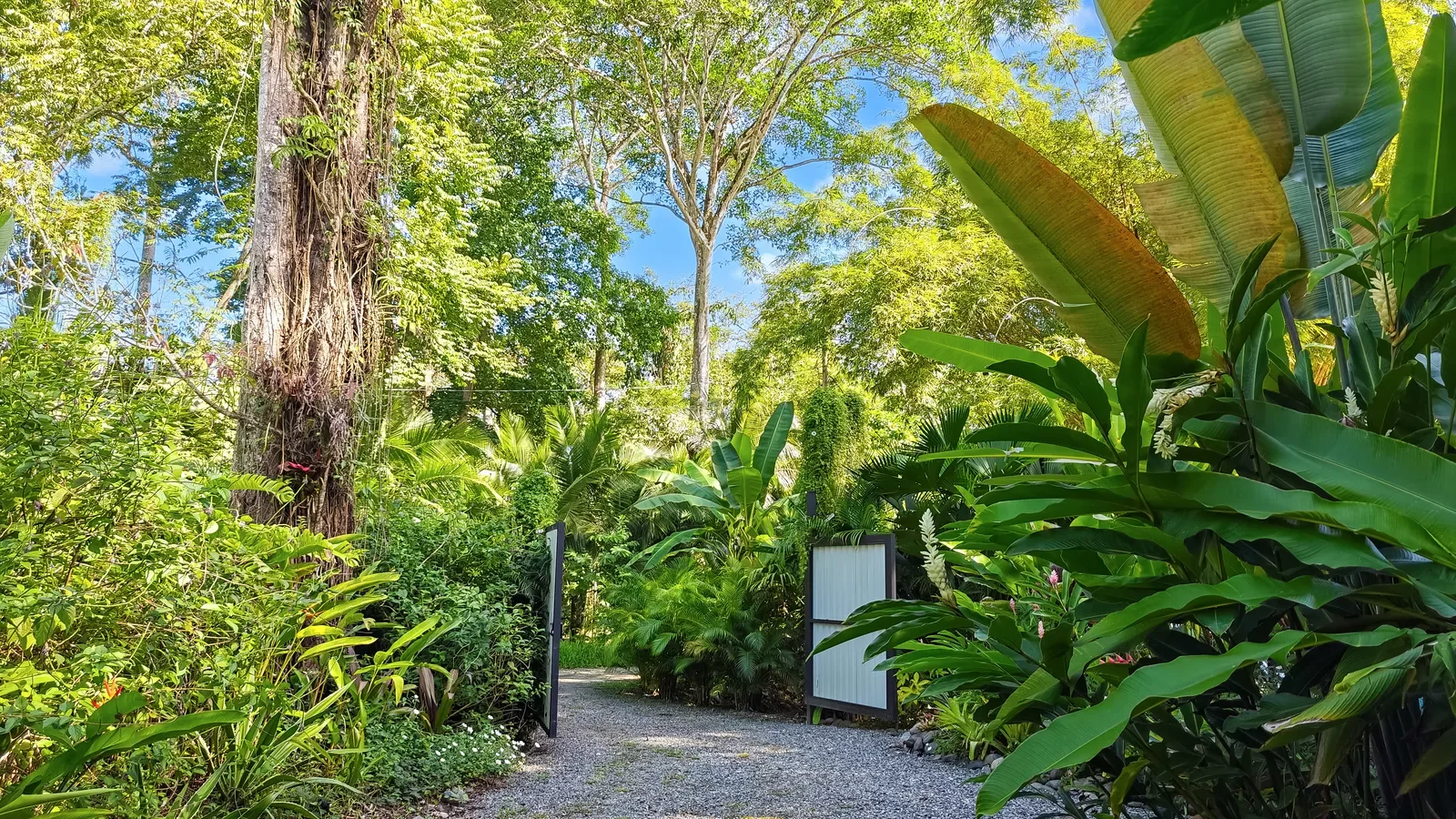 Retreat Property for Sale in Costa Rica (4).webp