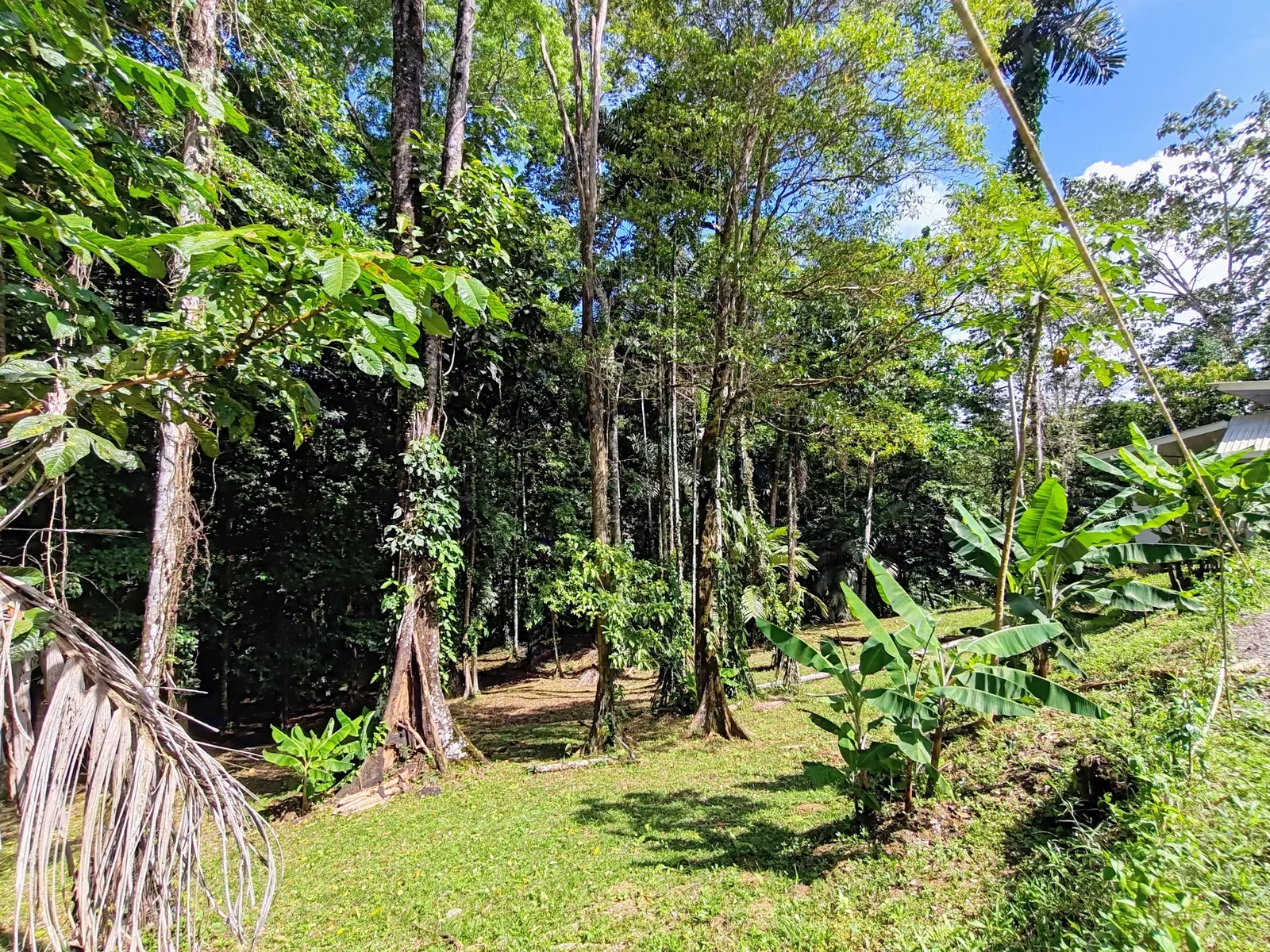 private-jungle-home-selva-encantada (3).webp