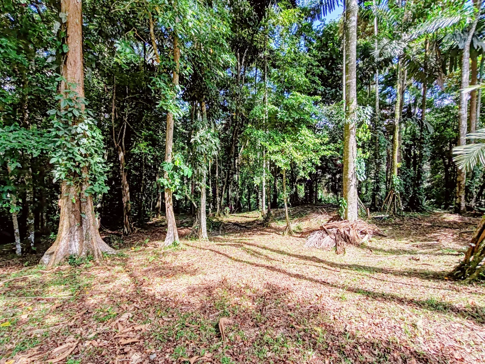 private-jungle-home-selva-encantada (5).webp