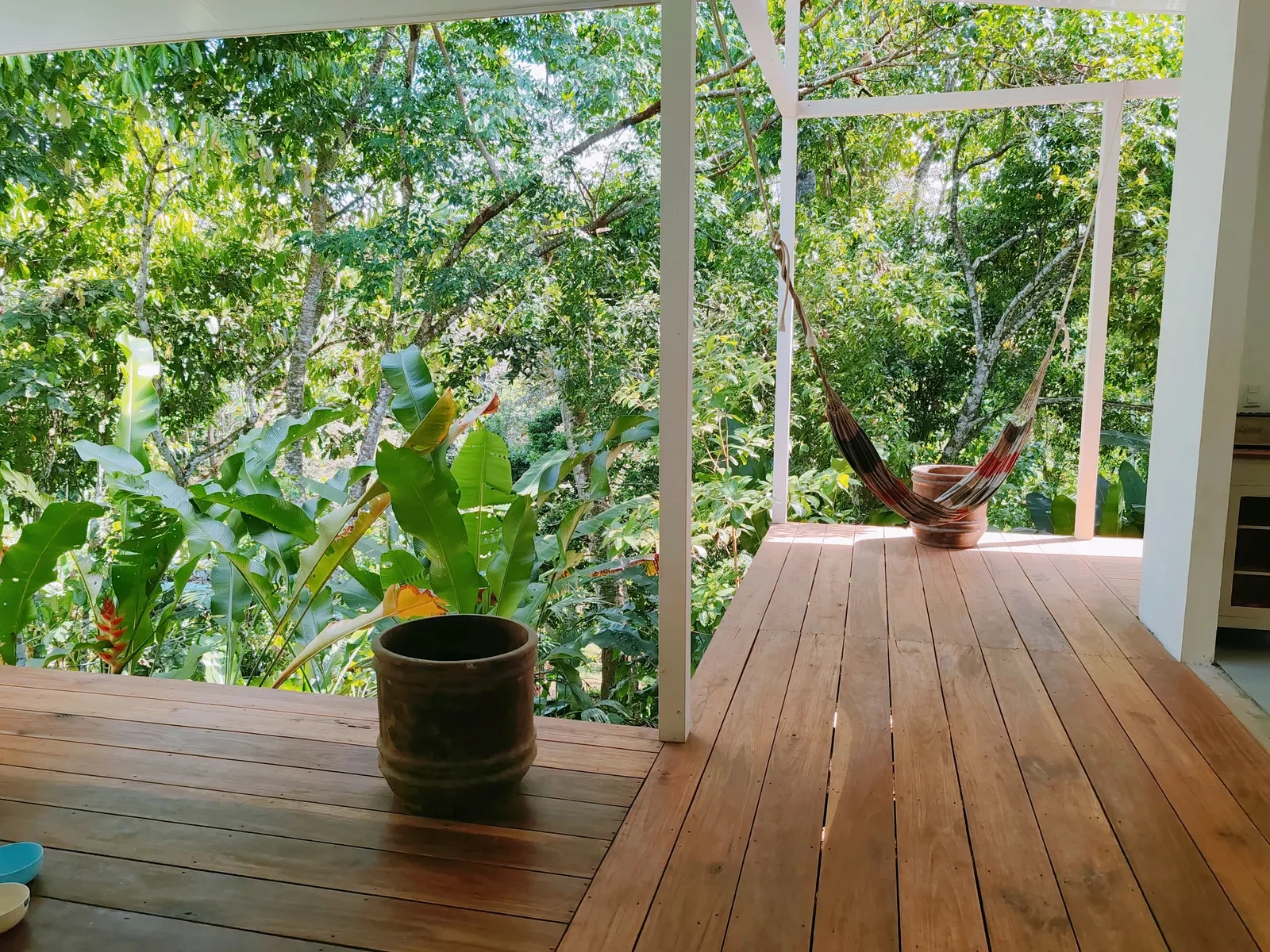 private-jungle-home-selva-encantada (23).webp