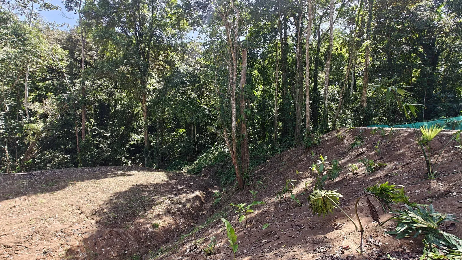 cahuita-buildable-land-walk-beach-7535m2 (11).webp