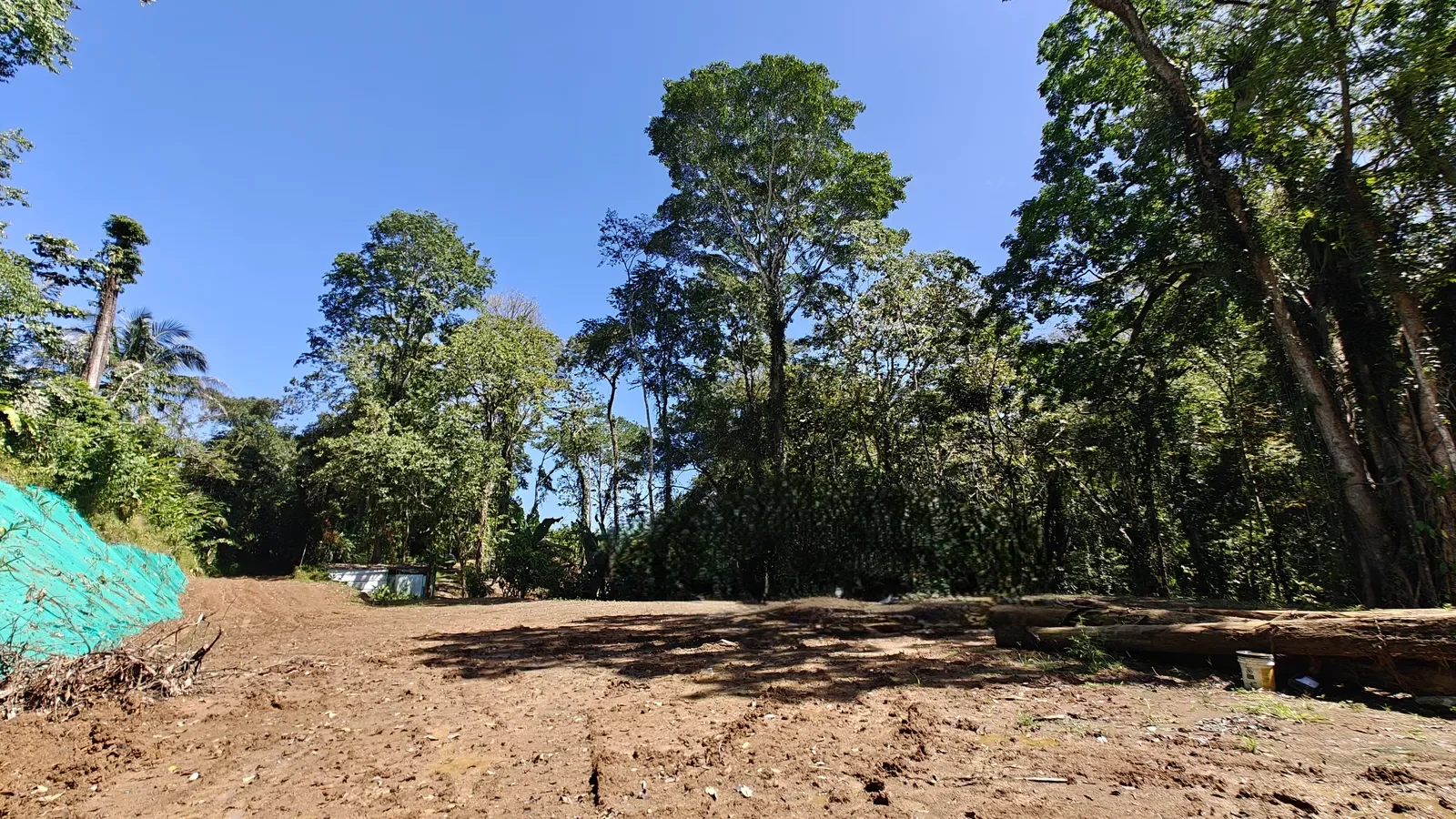 cahuita-titled-jungle-land-near-beach (7).webp