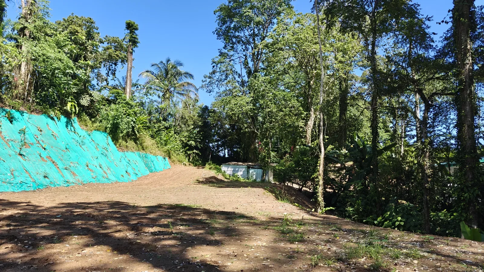 cahuita-titled-jungle-land-near-beach (9).webp