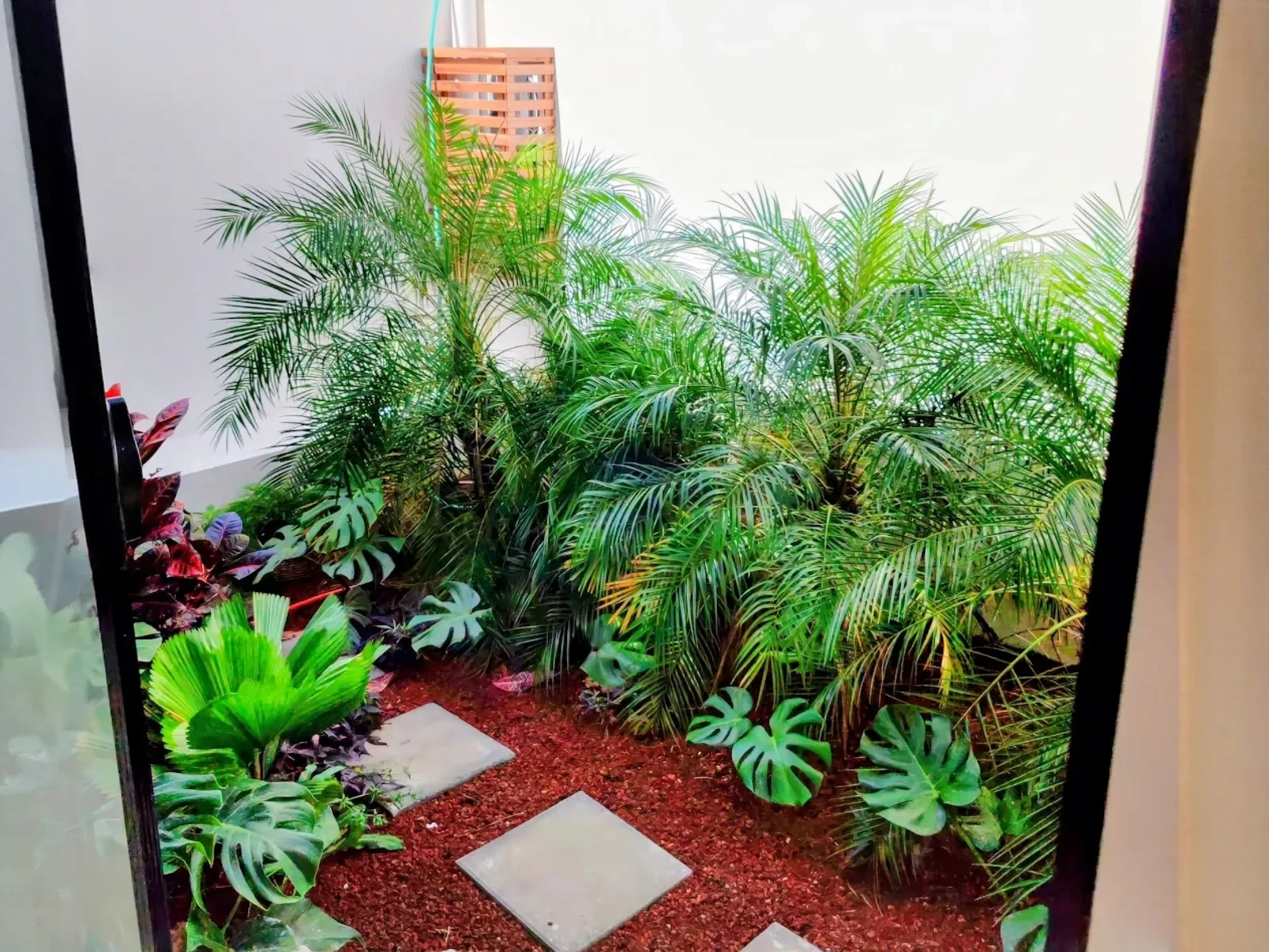 modern-villa-furnished-puerto-viejo-playa-negra (9.6578247, -82 (5).webp