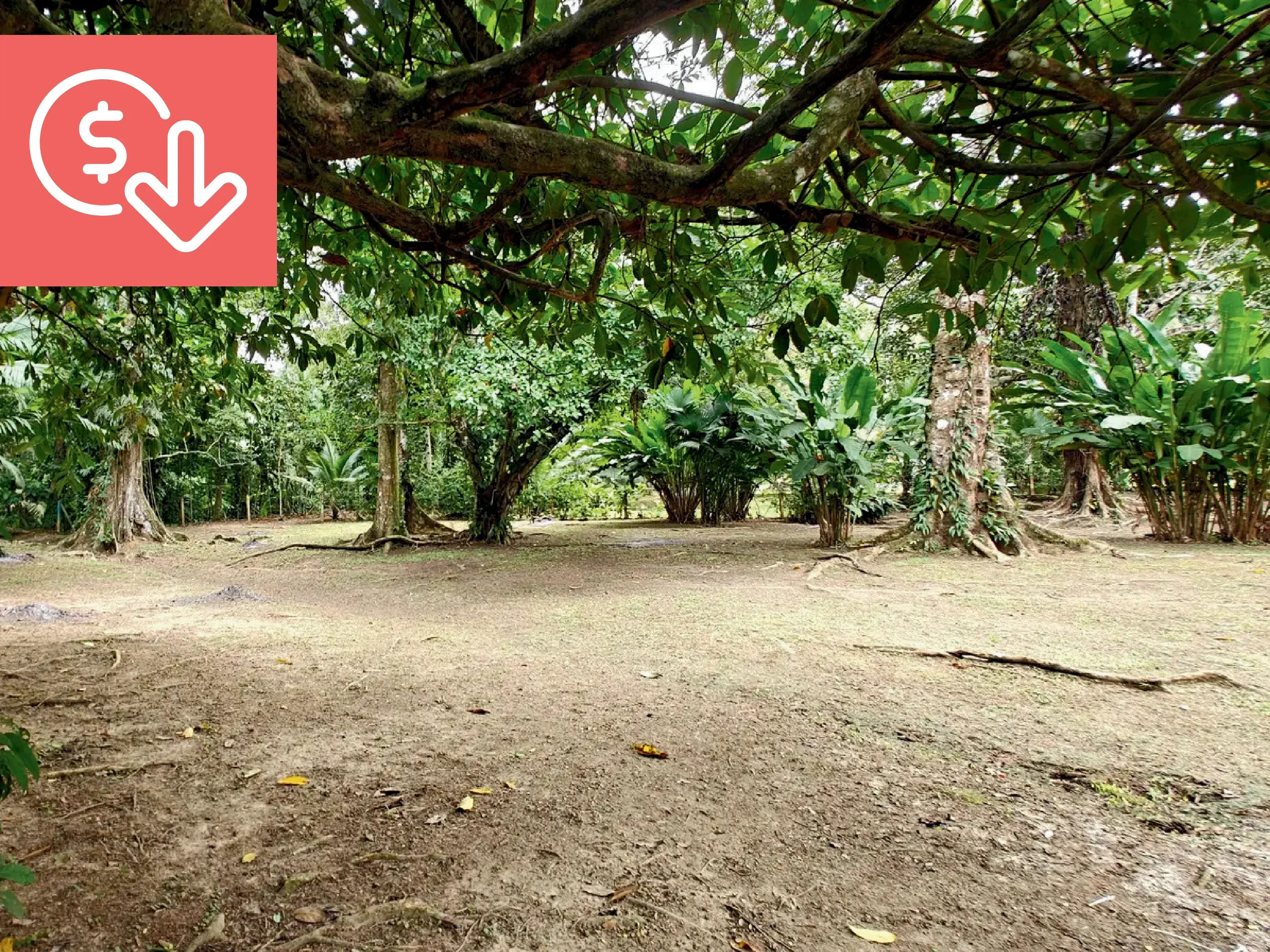 $280,000 - 2,500m² - Punta Uva Riverfront Lot