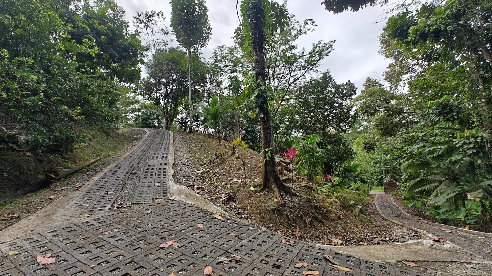 Duplex with Loft One Hectare of Land (1).webp