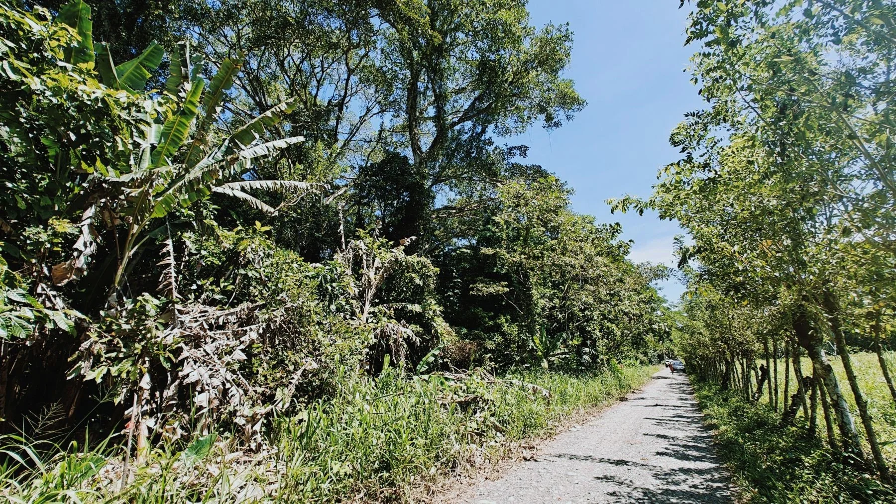 $67,000 - 5708m² Flat Jungle Lot in Tuba Creek – Titled Land Near Cahuita