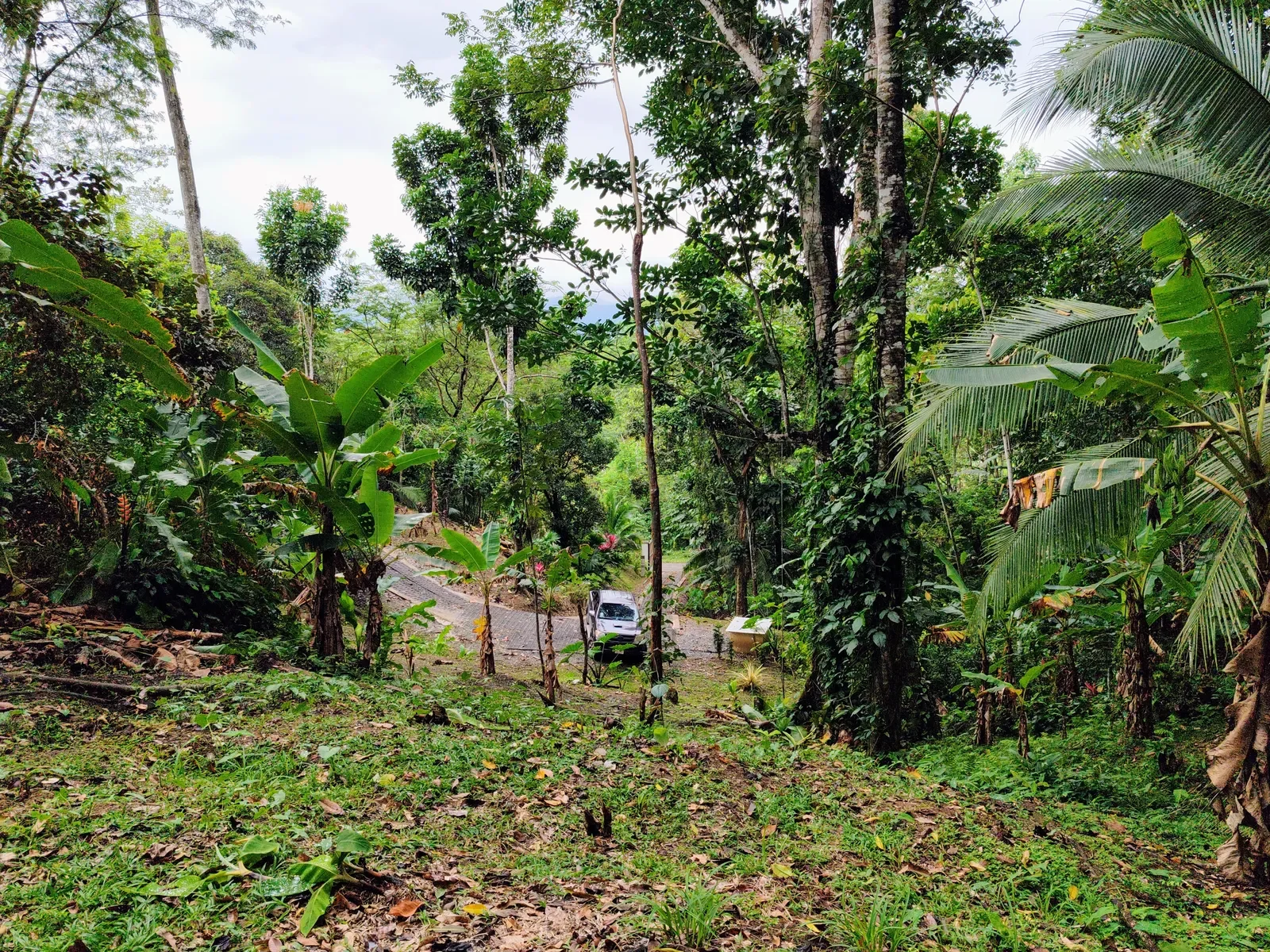 Duplex with Loft One Hectare of Land (19).webp