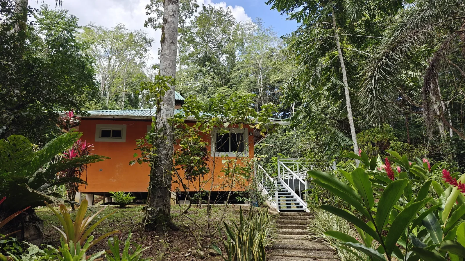 Private Jungle Estate with River (5).webp