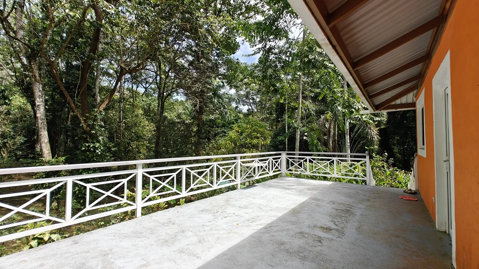 Private Jungle Estate with River (22).webp