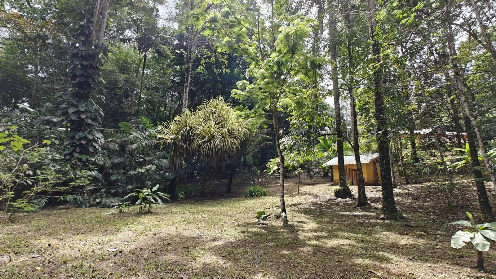 Private Jungle Estate with River (27).webp