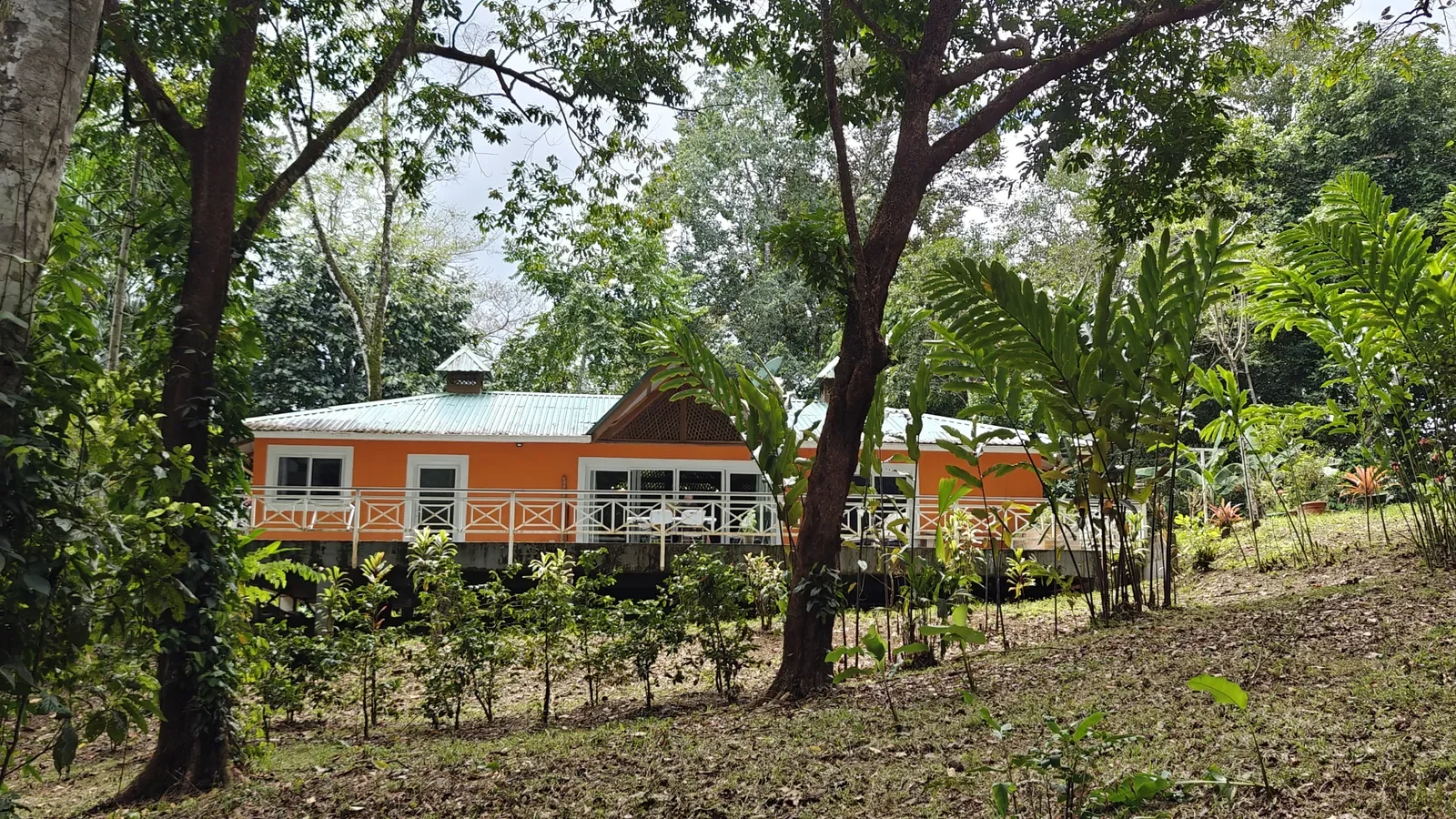 Private Jungle Estate with River (32).webp