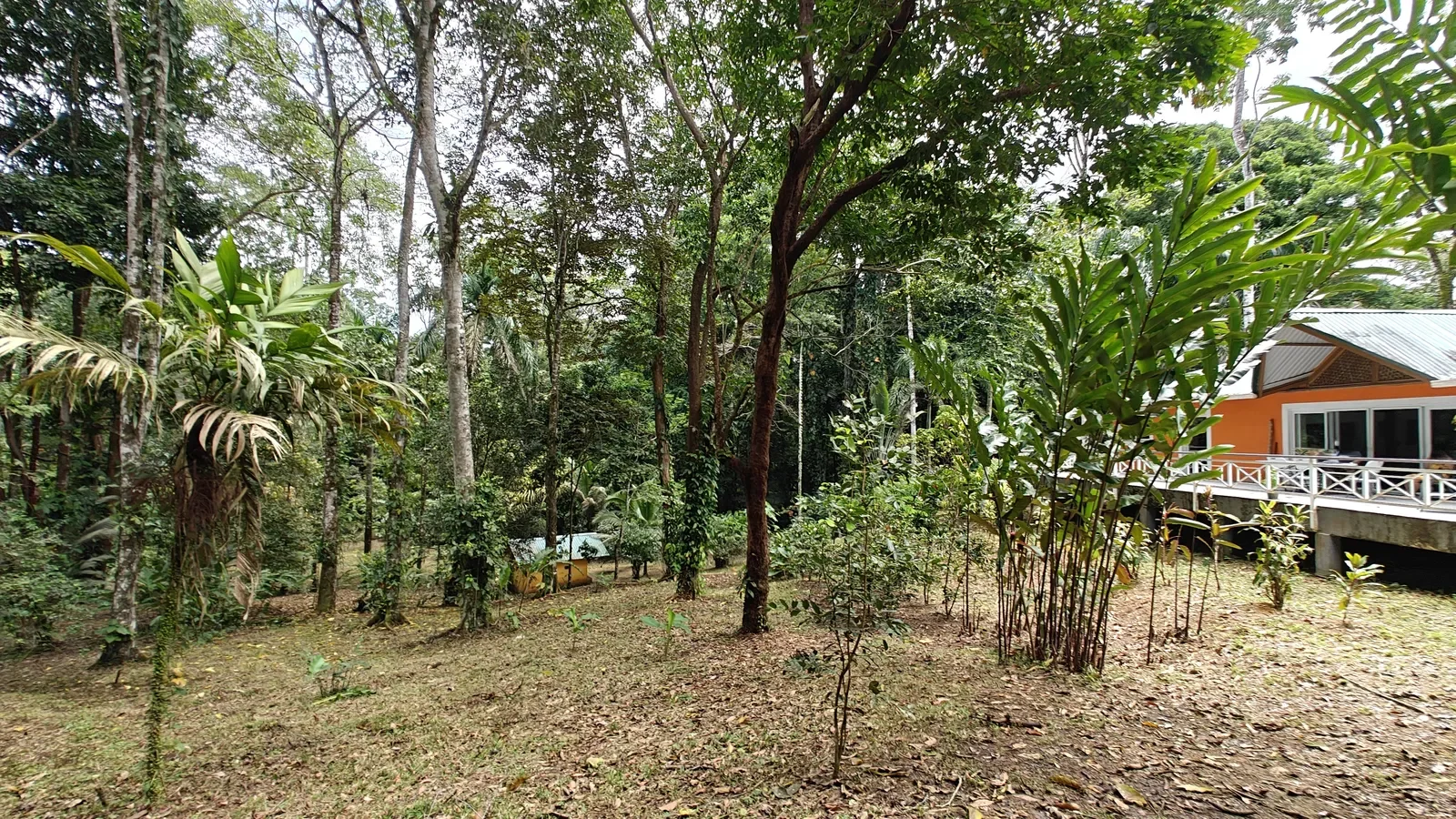 Private Jungle Estate with River (34).webp