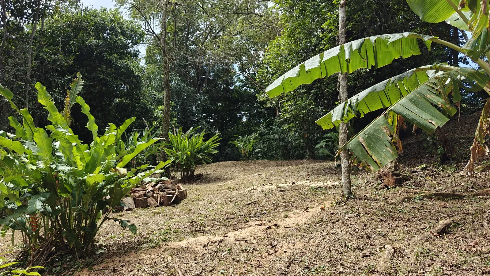 Private Jungle Estate with River (38).webp