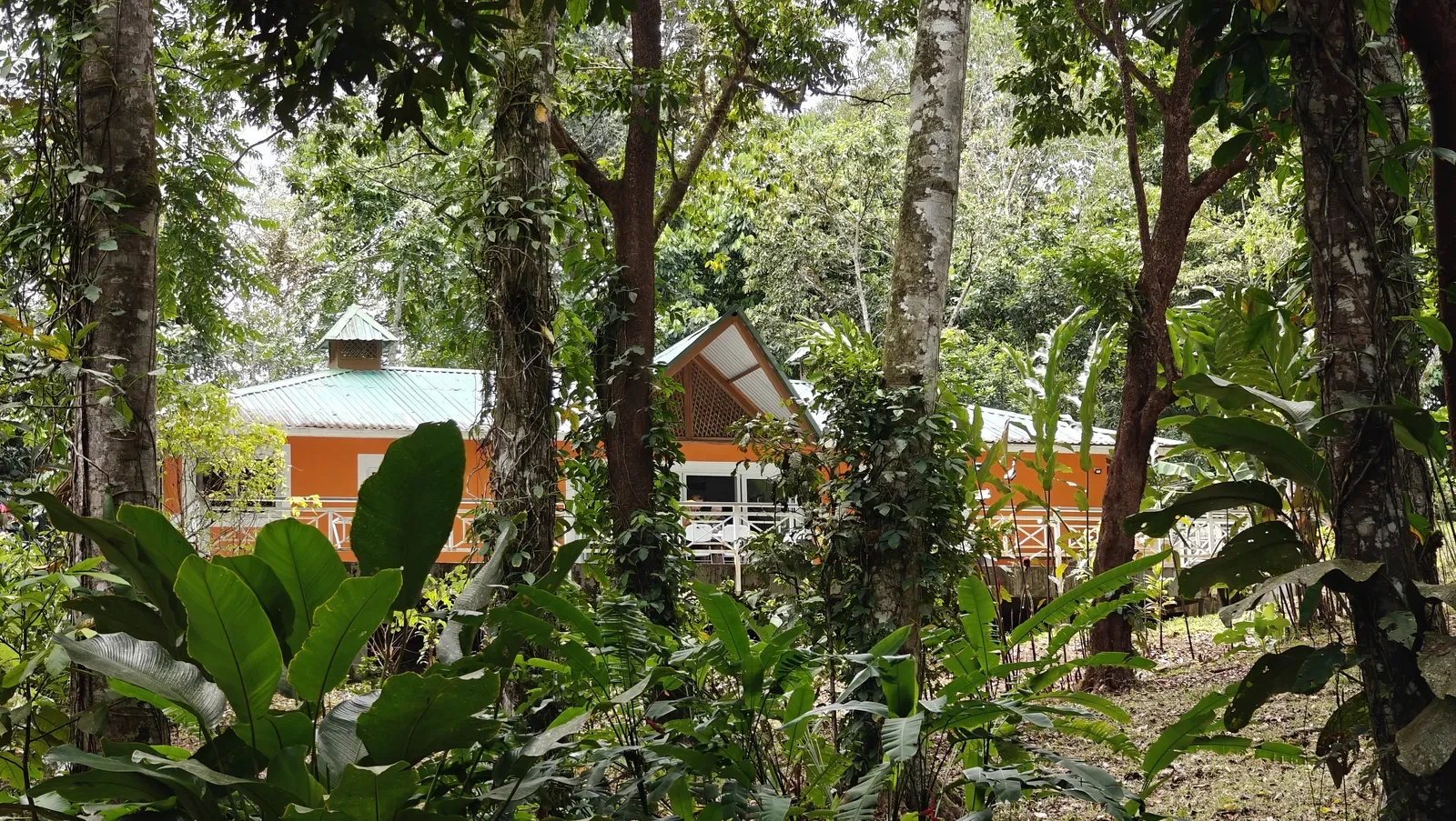 Private Jungle Estate with River (46).webp