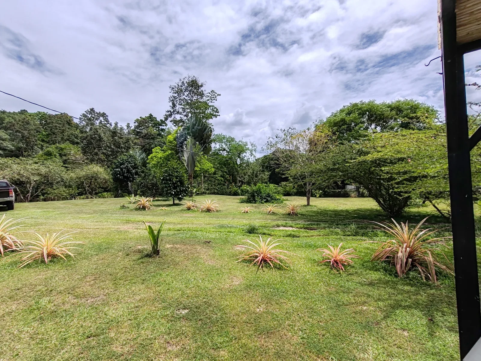 Food Production Estate San Miguel (29).webp