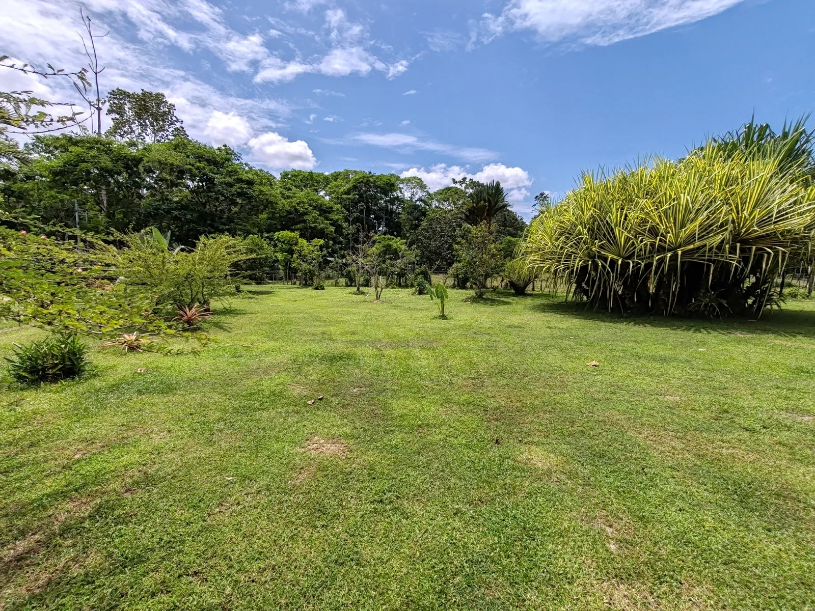 Food Production Estate San Miguel (27).webp