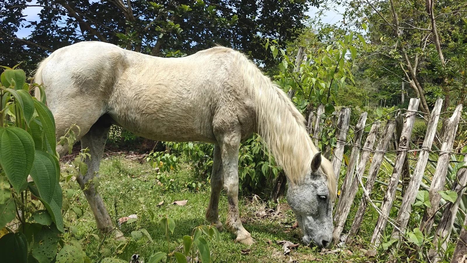 Food Production Estate San Miguel (2).webp