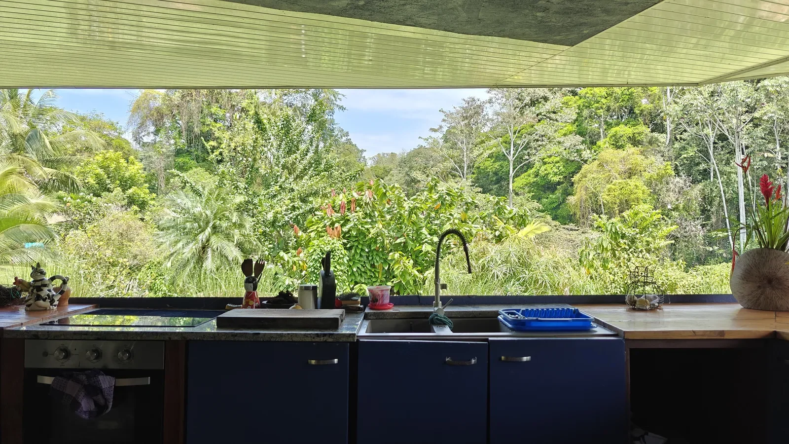 Food Production Estate San Miguel (11).webp