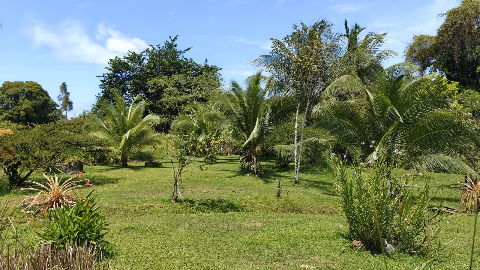 Food Production Estate San Miguel (13).webp