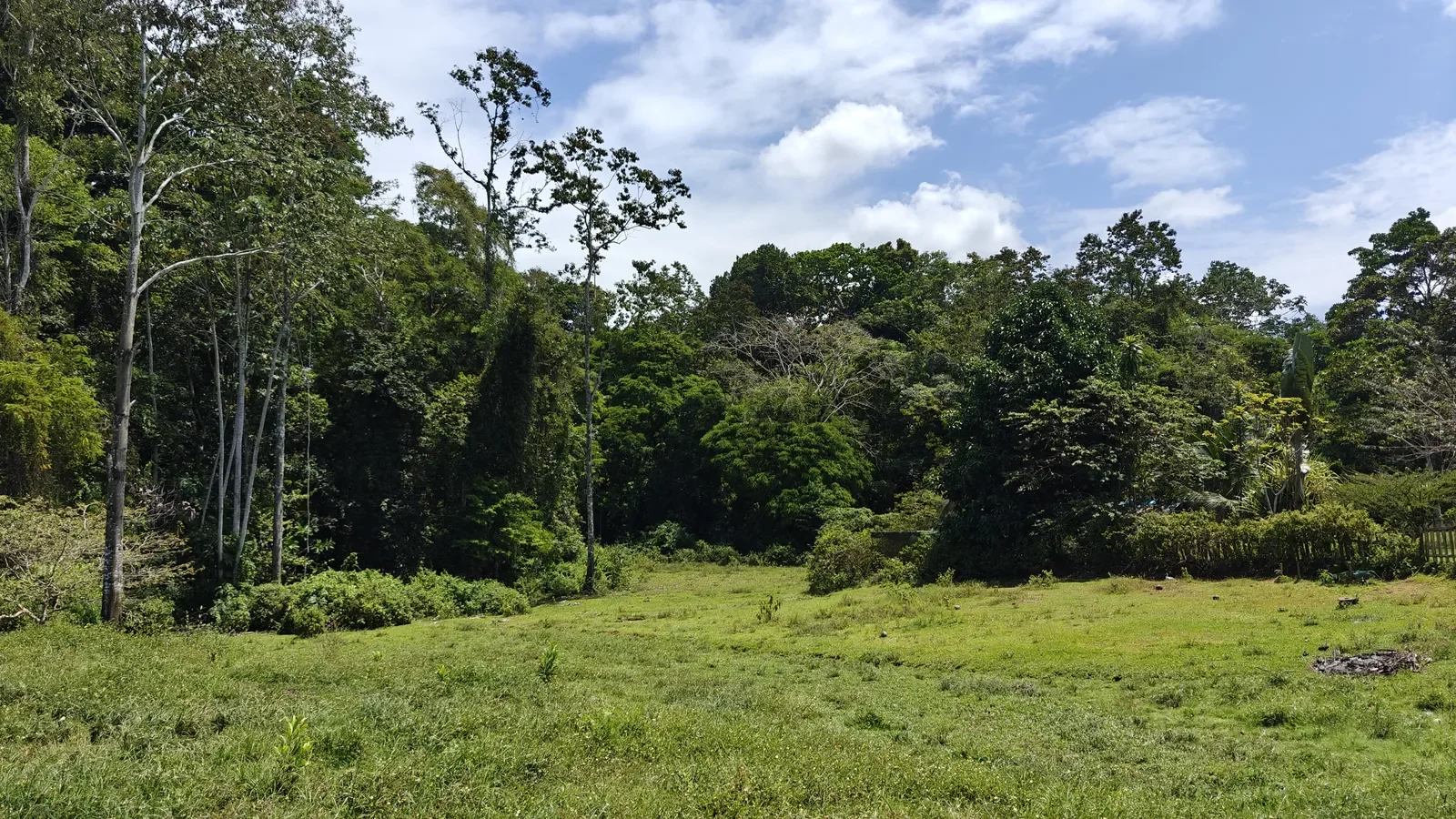 Food Production Estate San Miguel (14).webp