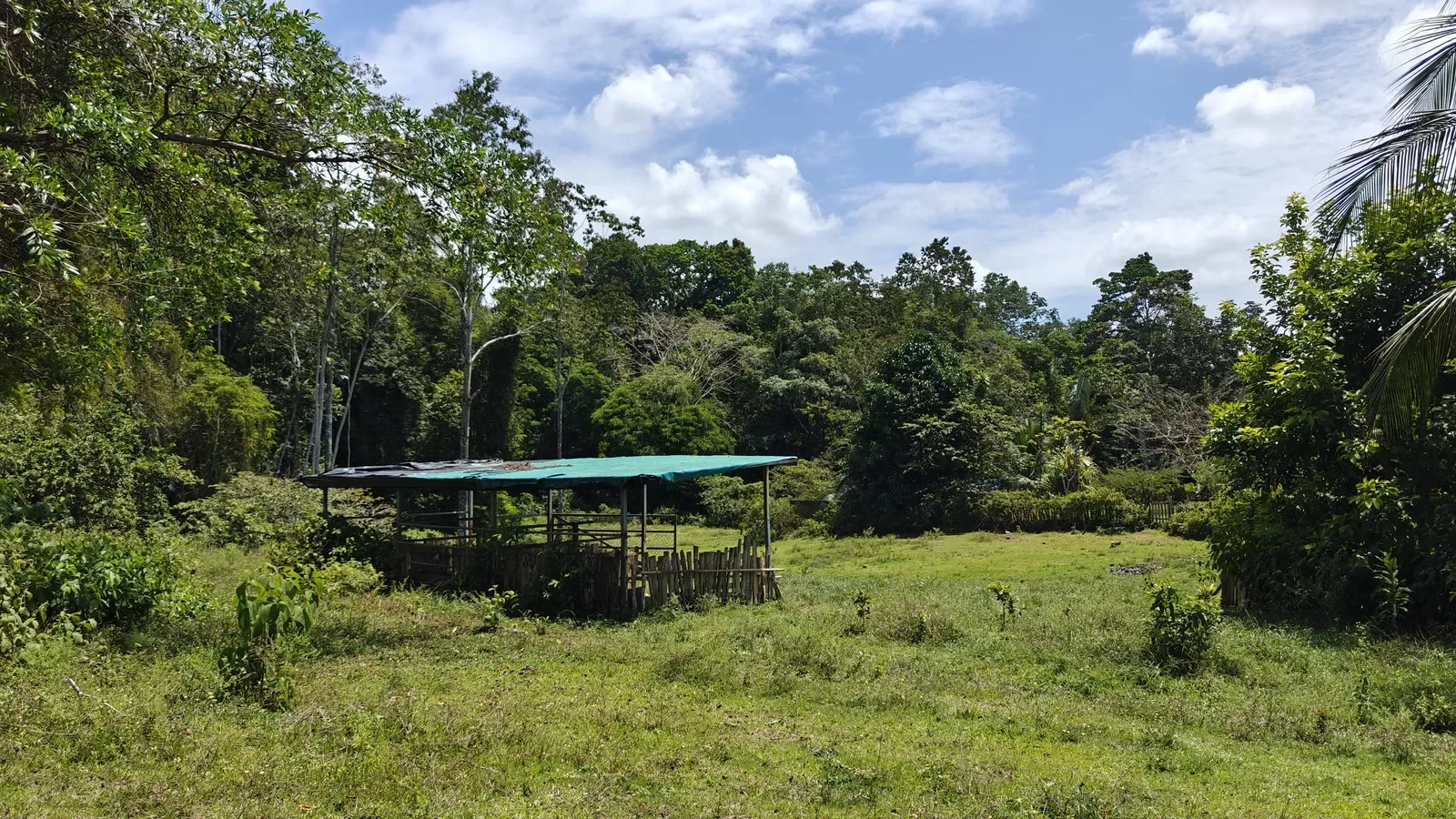 Food Production Estate San Miguel (15).webp