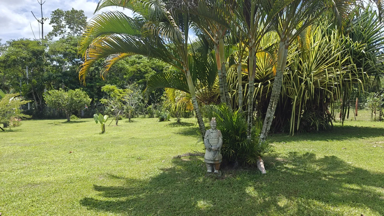 Food Production Estate San Miguel (18).webp