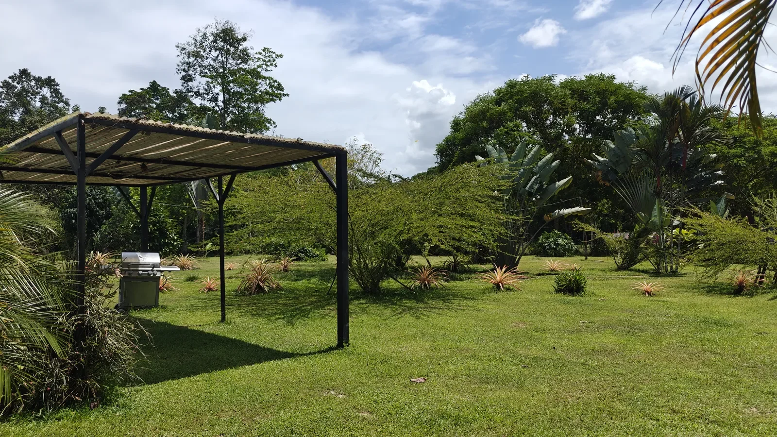 Food Production Estate San Miguel (19).webp