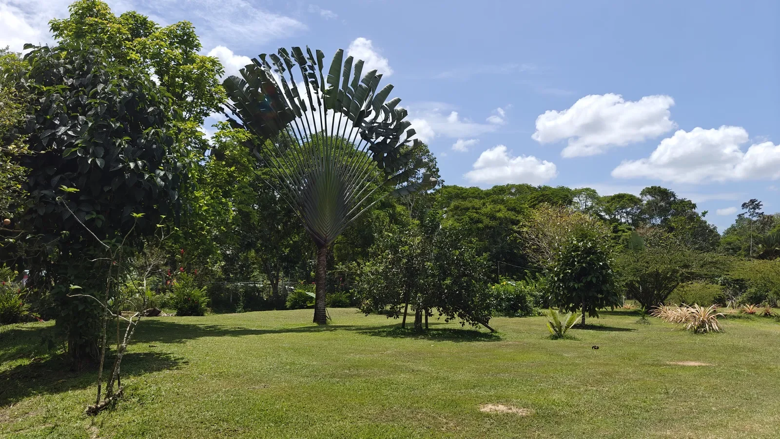 Food Production Estate San Miguel (22).webp